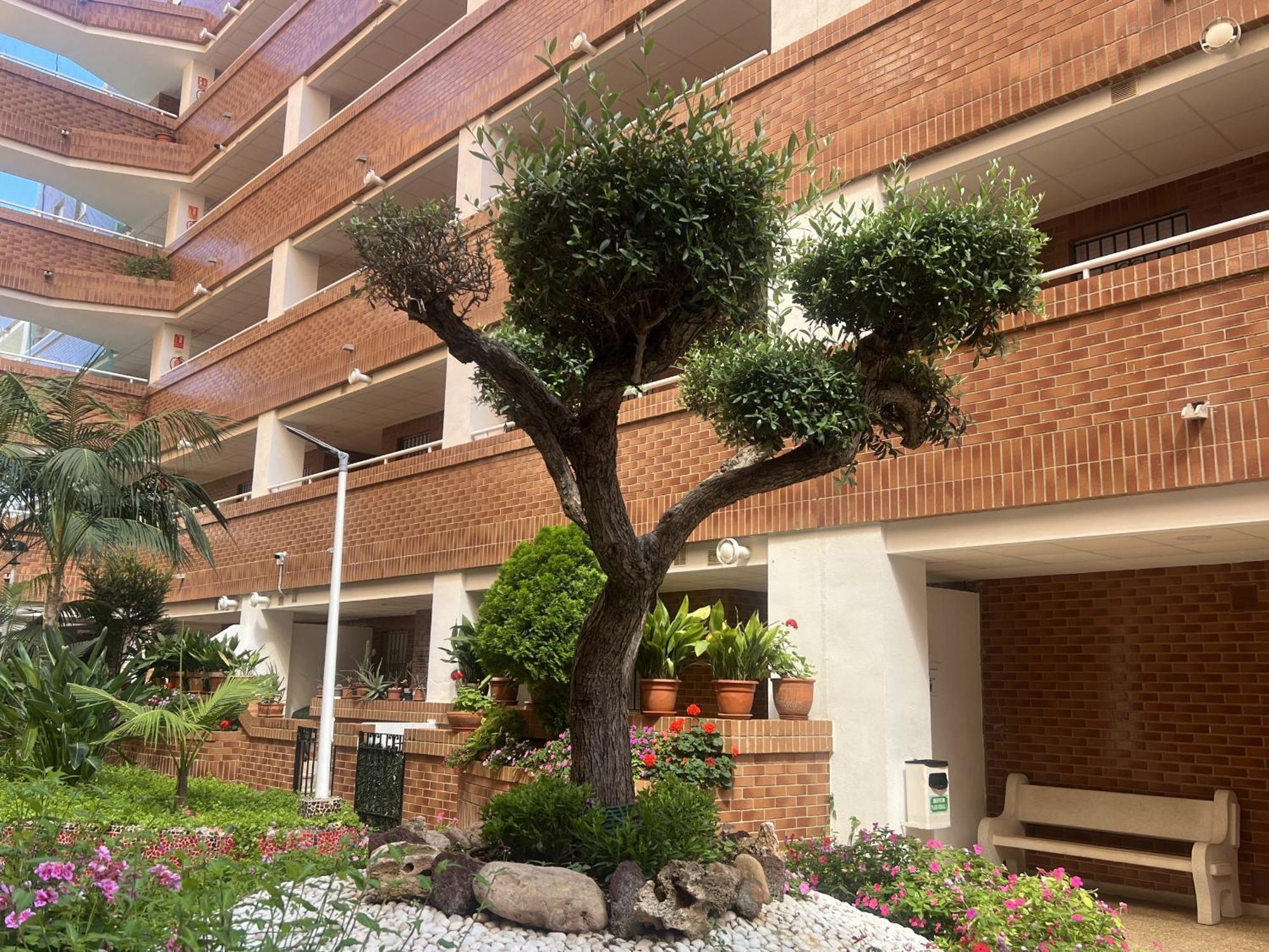 Apartamentos Marina Park Oropesa del Mar Exterior photo